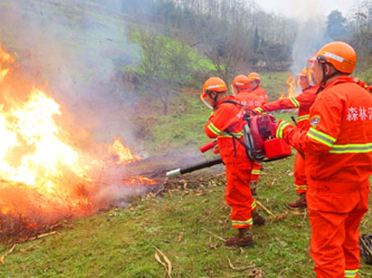 森林防火亚洲美女视频